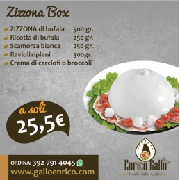ZIZZONA BOX