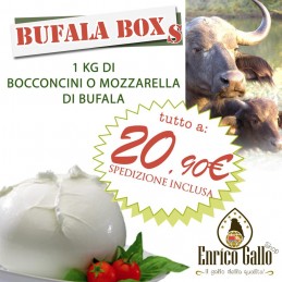 MINI BUFALA BOX