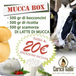 MUCCA BOX